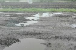 В Турковском районе обеспокоены отсутствием обещанного ремонта дорог