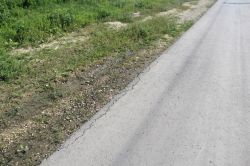 Депутат Рогожин и «Дорожный контроль» проинспектировали ремонт тротуаров и поселковых дорог в Балтайском районе