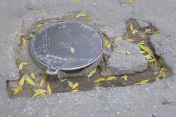 Жалоба №439 по адресу Саратов, улица Зарубина