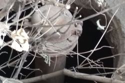 Подходы к школе №106 изобилуют открытыми колодцами