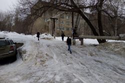 Зоологическая превратилась в ледяную горку